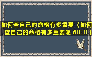 如何查自己的命格有多重要（如何查自己的命格有多重要呢 🐛 ）